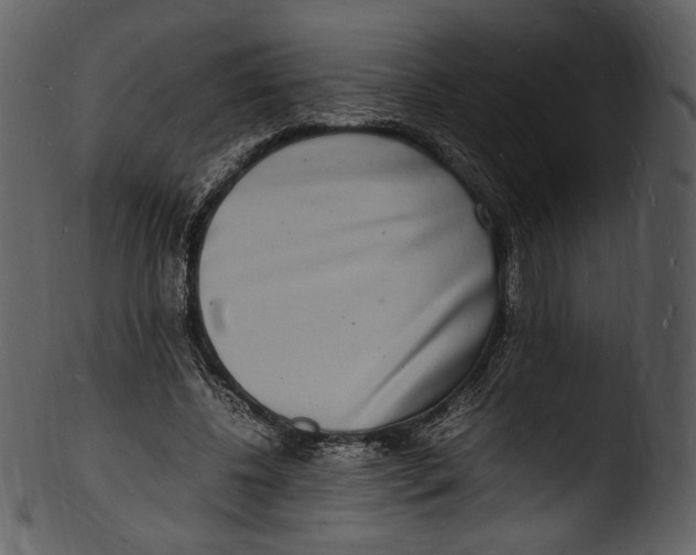 X0000103250540200809251353