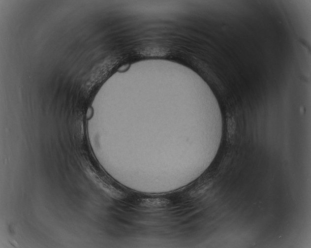 X0000103250541200809251353