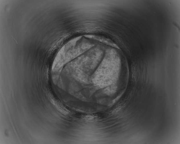 X0000103250542200809251353
