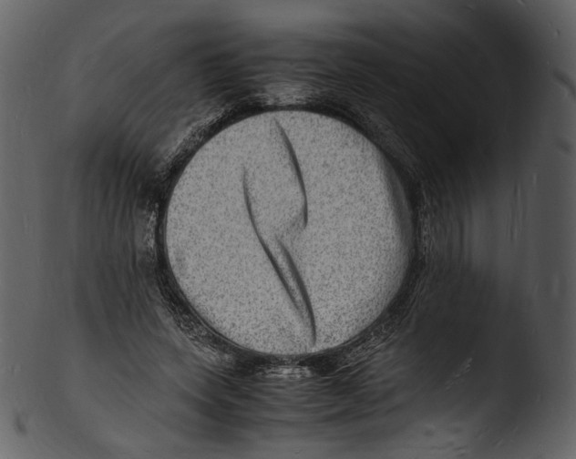 X0000103250543200809251353