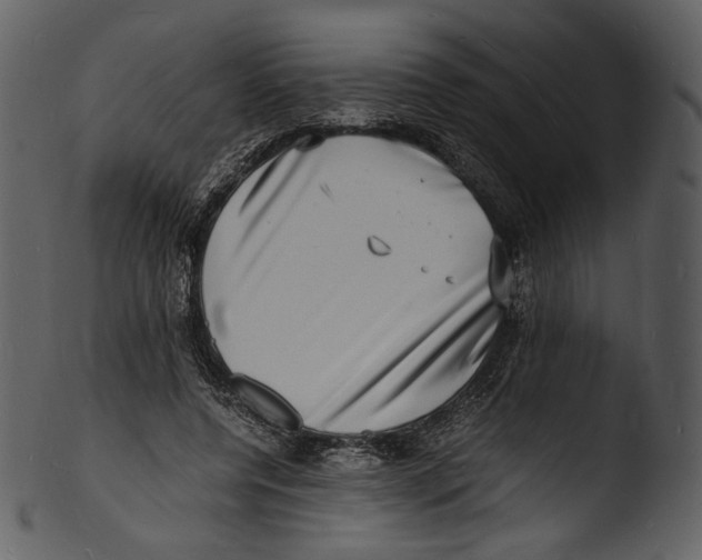 X0000103250544200809251353