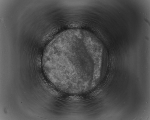 X0000103250545200809251353