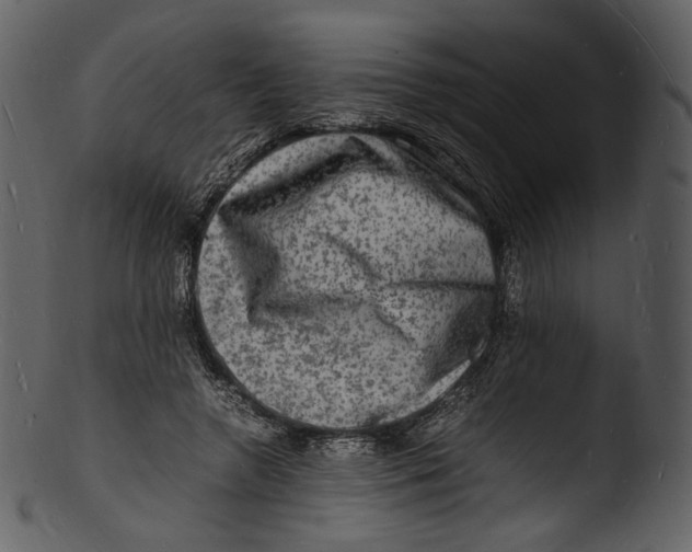 X0000103250546200809251353
