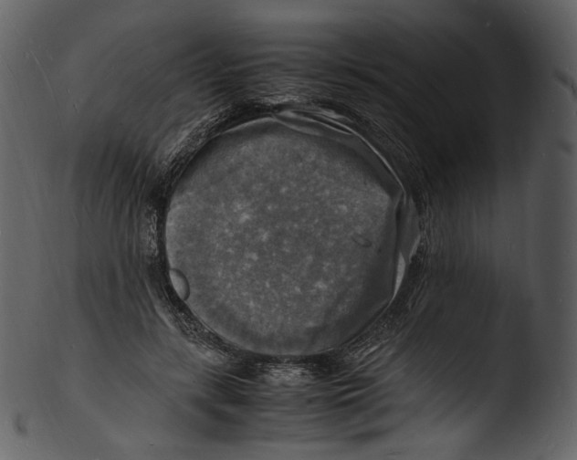 X0000103250547200809251353