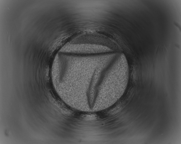 X0000103250548200809251353