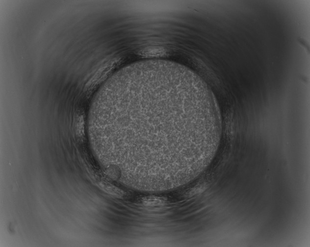 X0000103250549200809251353