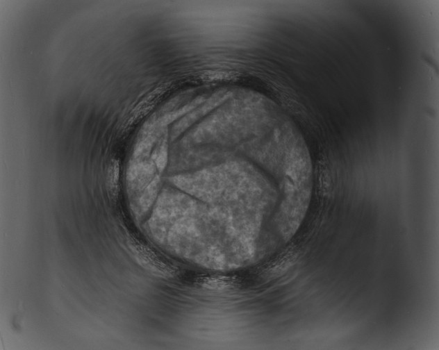 X0000103250550200809251353