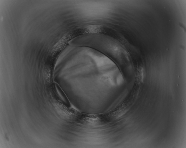 X0000103250552200809251353