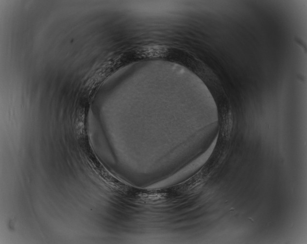 X0000103250553200809251354