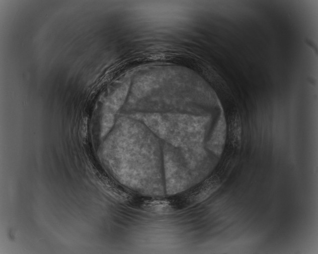 X0000103250554200809251354