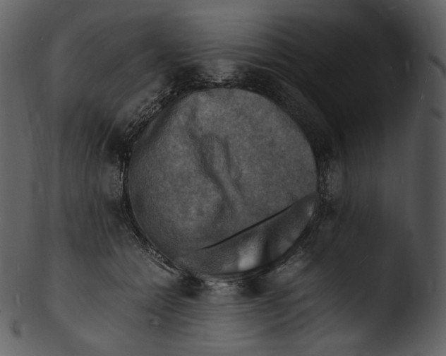 X0000103250558200809251354