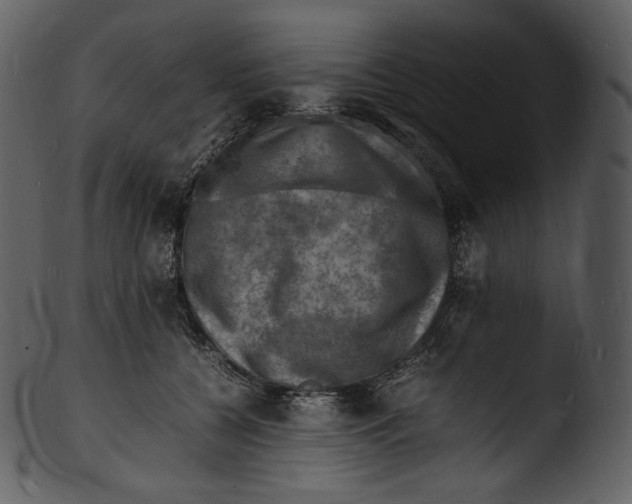 X0000103250560200809251354