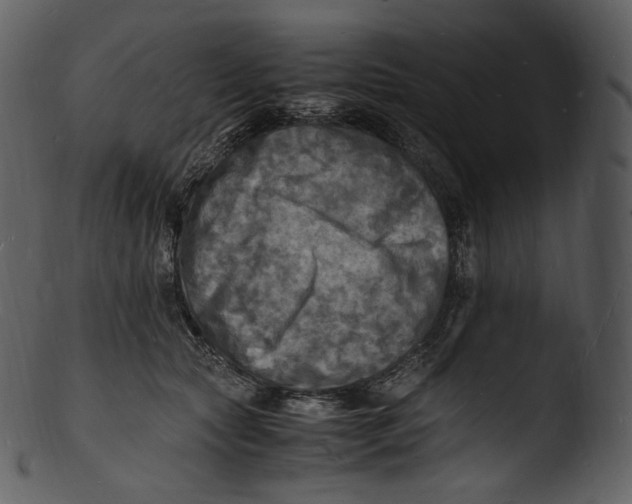 X0000103250561200809251354