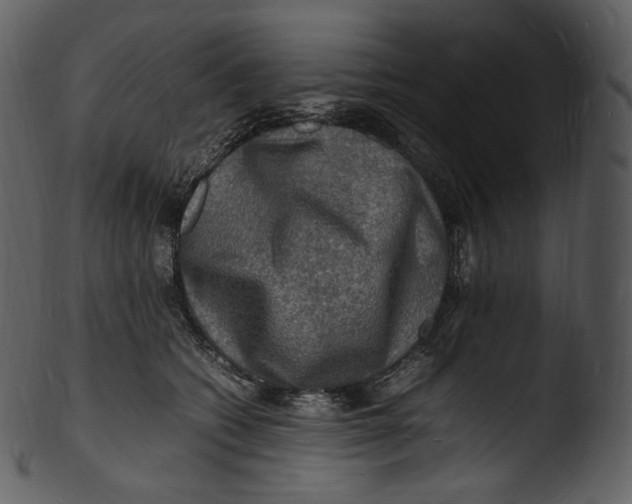 X0000103250562200809251354