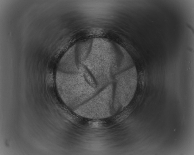 X0000103250564200809251354