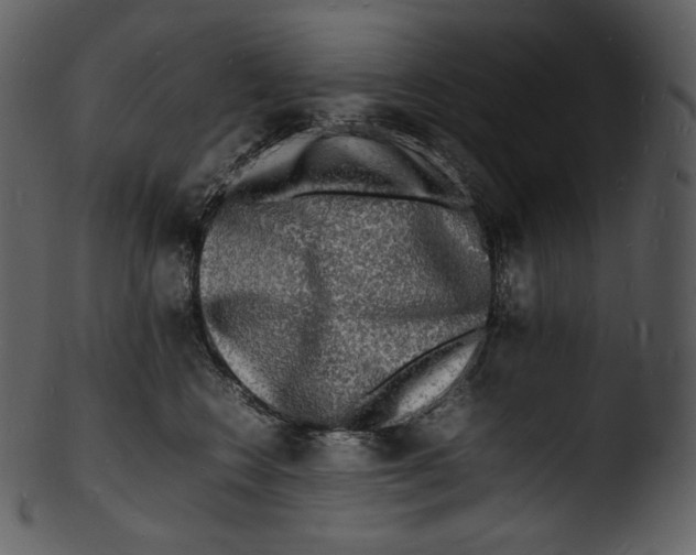 X0000103250566200809251354