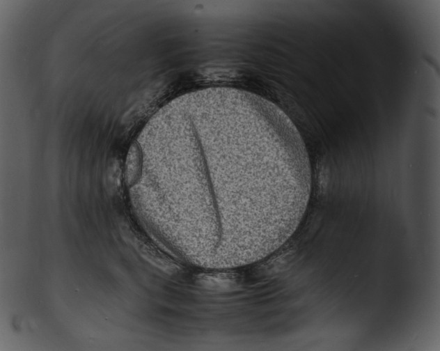 X0000103250567200809251354
