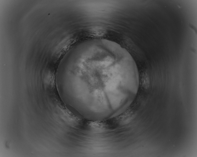 X0000103250568200809251354