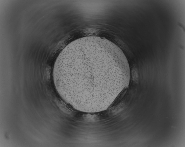 X0000103250570200809251354