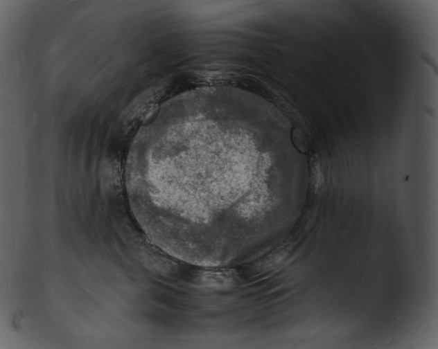 X0000103250571200809251354