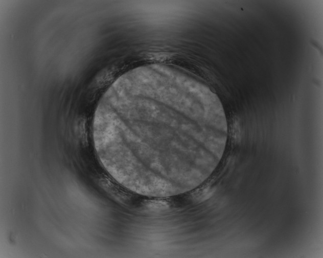 X0000103250572200809251354