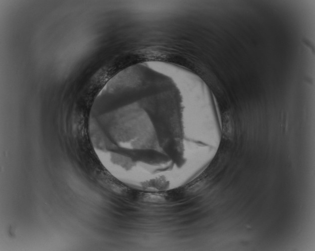 X0000103250573200809251354