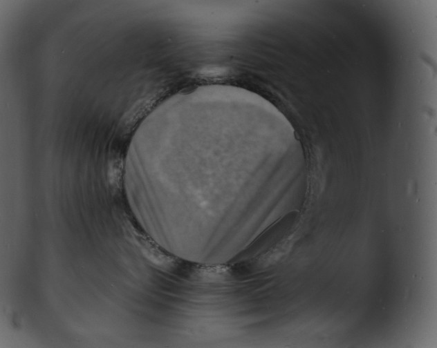 X0000103250576200809251354