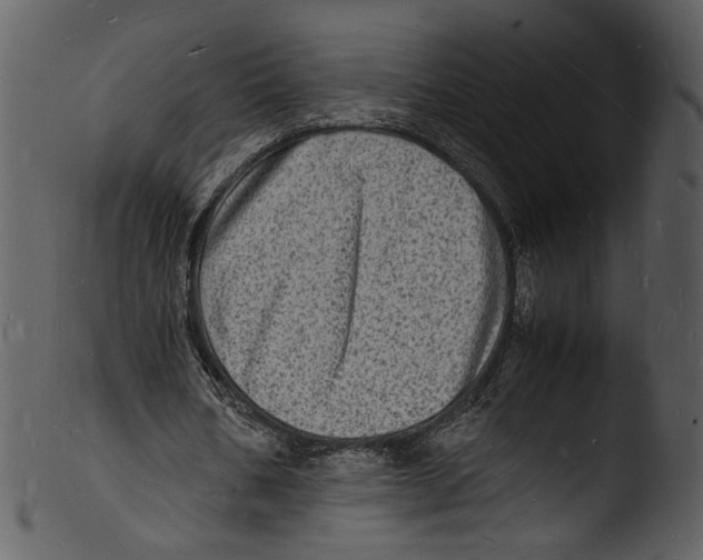 X0000103250578200809251353