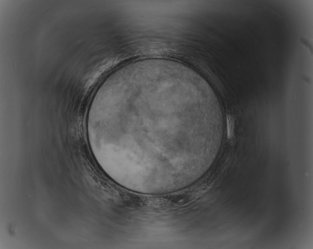 X0000103250579200809251353