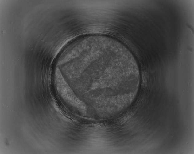 X0000103250580200809251353