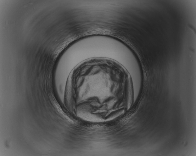 X0000103250581200809251353