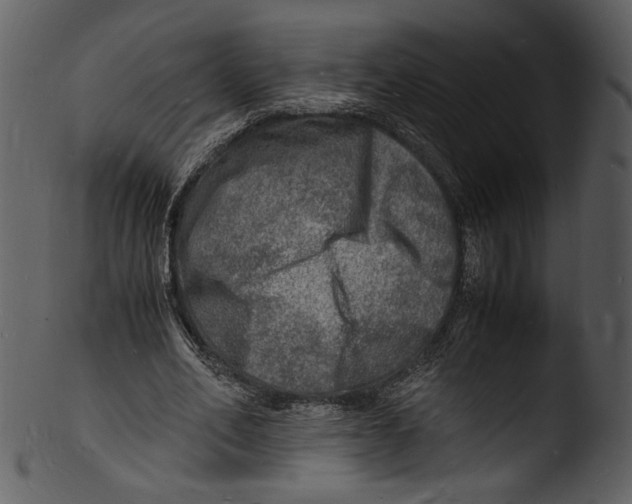 X0000103250582200809251353
