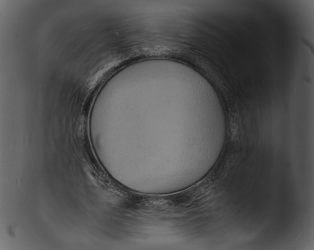 X0000103250583200809251353