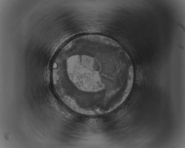 X0000103250584200809251353