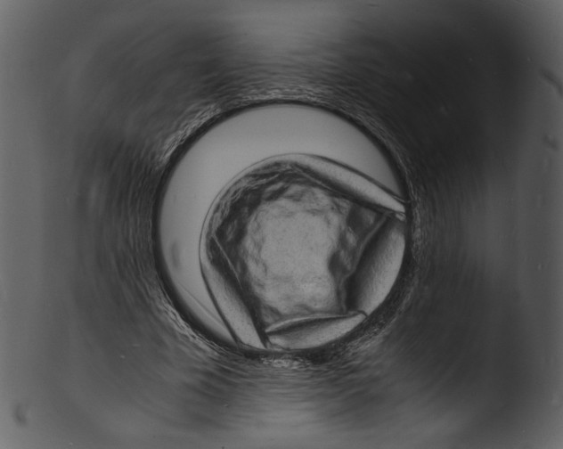 X0000103250585200809251353