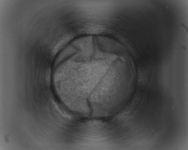 X0000103250586200809251353
