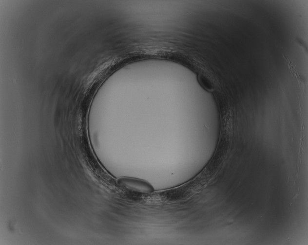X0000103250587200809251353