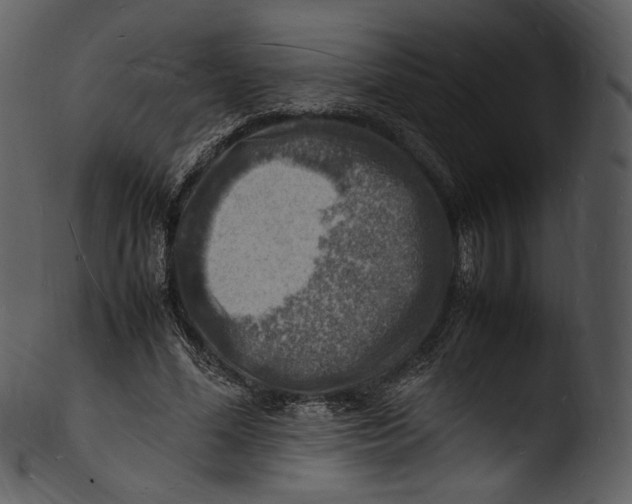 X0000103250588200809251353