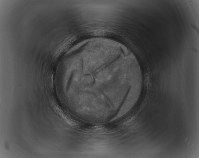 X0000103250589200809251353