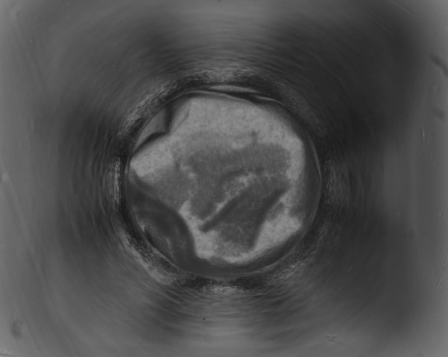 X0000103250590200809251353