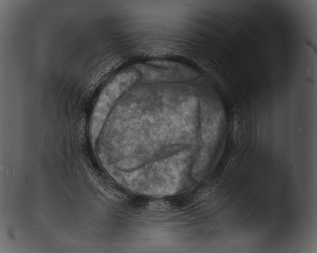 X0000103250591200809251353