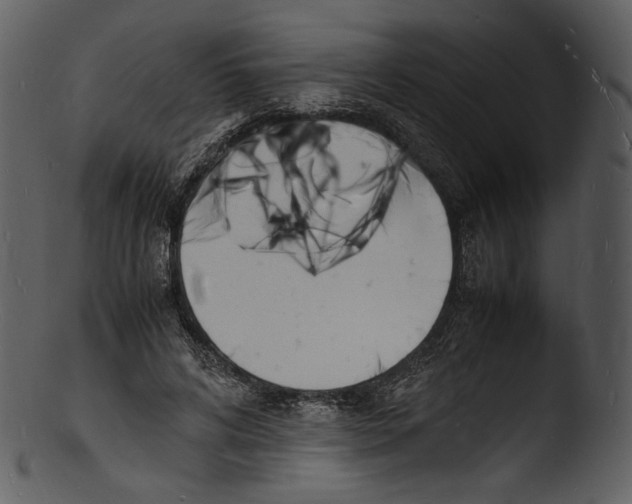 X0000103250592200809251353