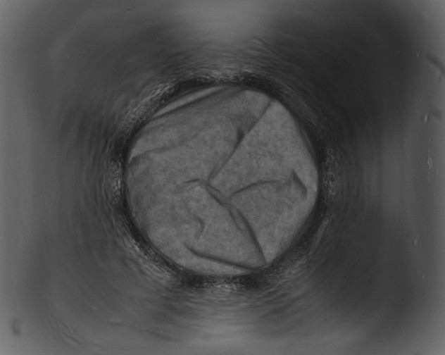 X0000103250593200809251353