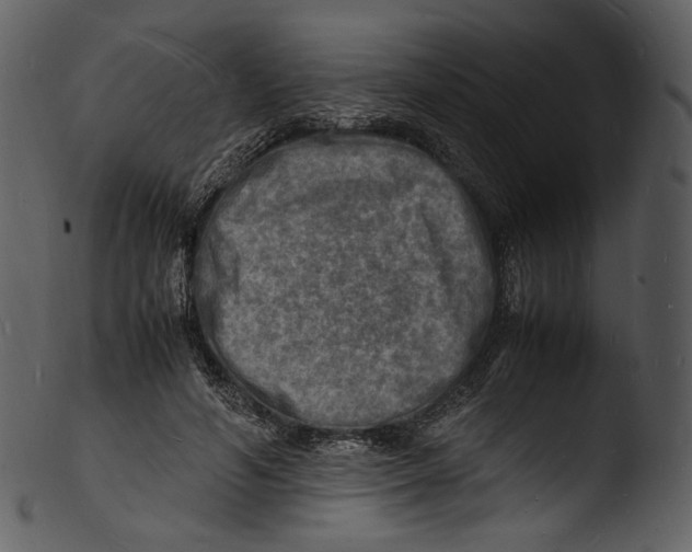X0000103250594200809251353