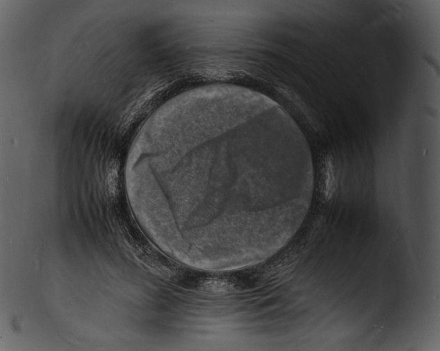 X0000103250596200809251353