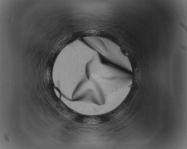 X0000103250597200809251353