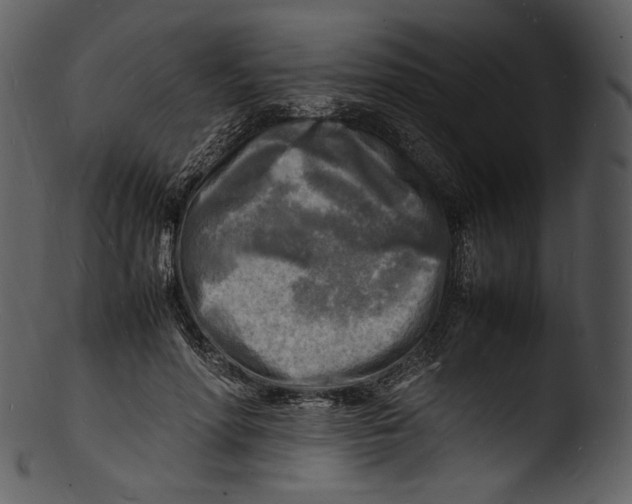 X0000103250598200809251353