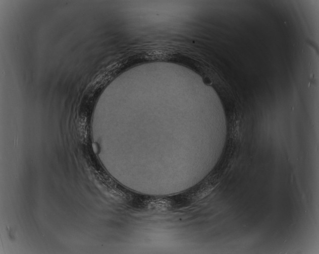 X0000103250599200809251353