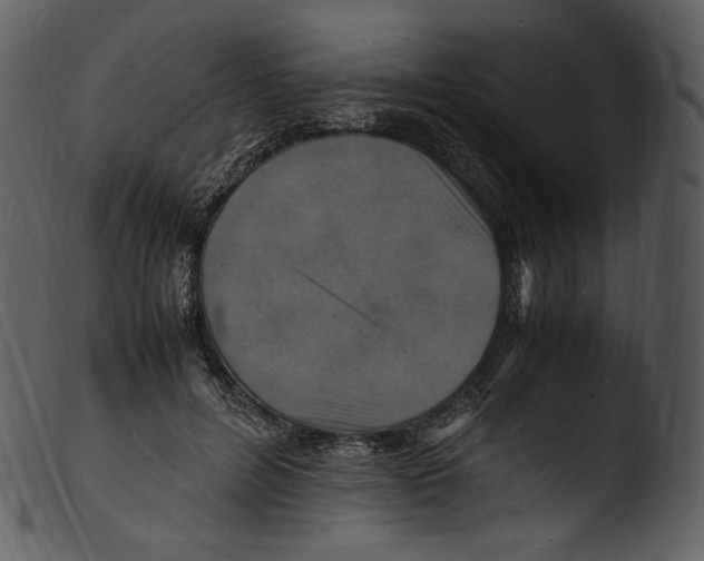 X0000103250600200809251353