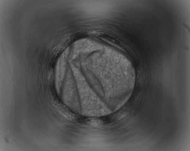 X0000103250601200809251353
